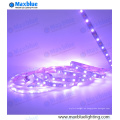 SMD5050 RGBW cuatro en una luz de tira flexible del LED